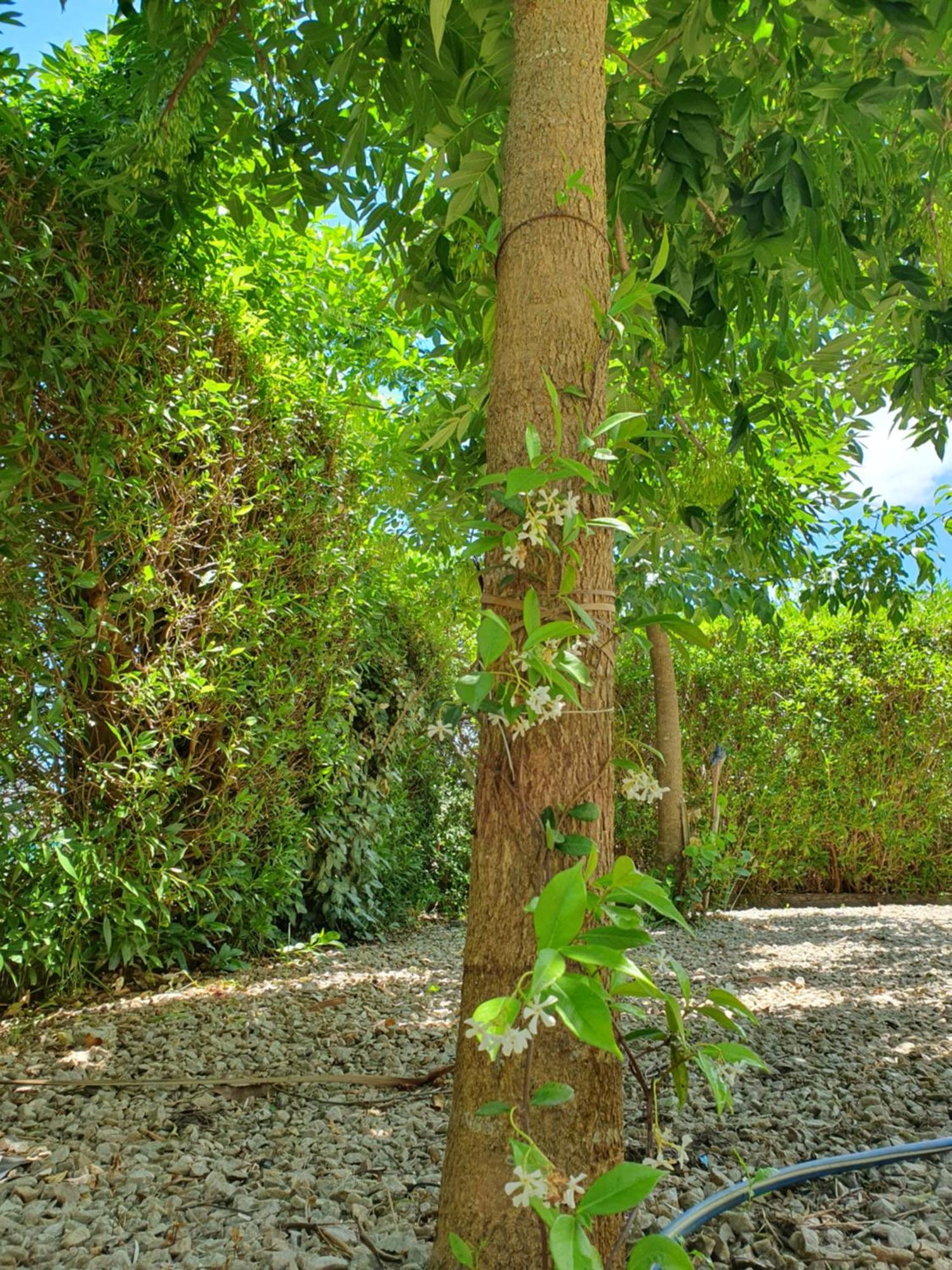 Casa Acantilados Golf & Playa Сasa de vacaciones